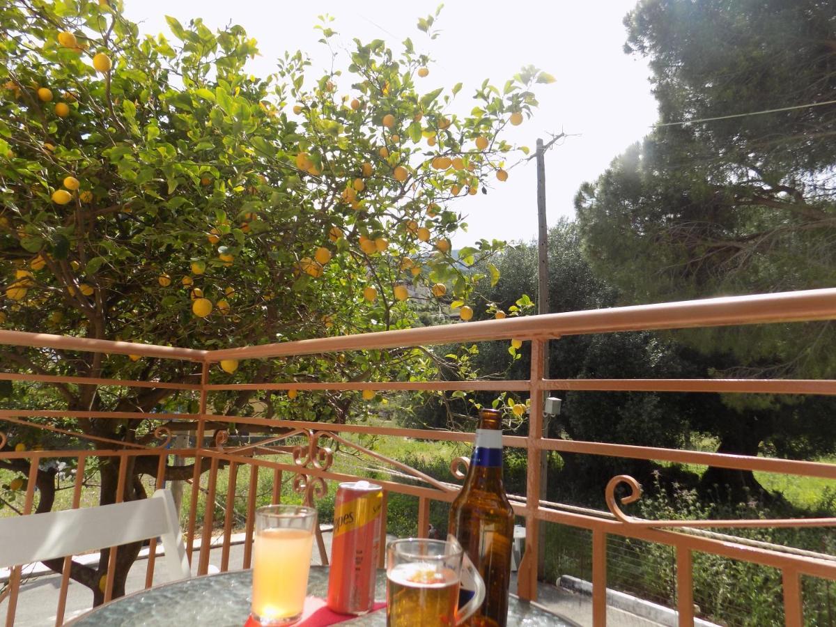 Afrodite Spacious Apartments! Agia Efimia Exterior foto